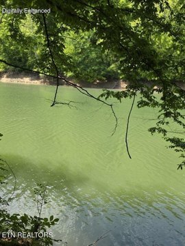 LAND - Speedwell, TN