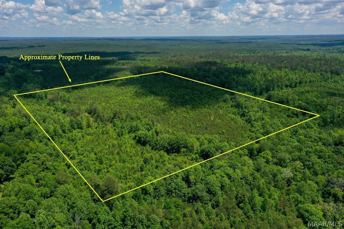 48.5 Acres Hunting Land, Jackson