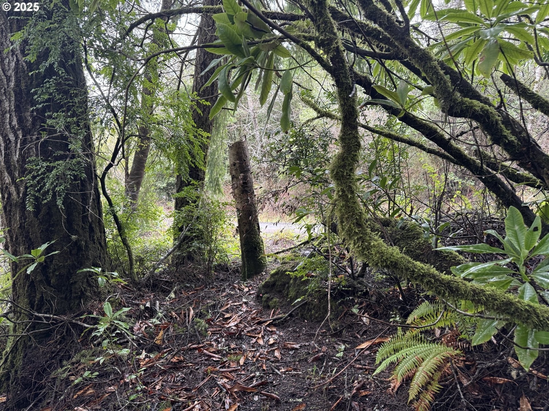 Recreational Land in NorthBend, Oregon