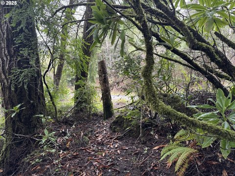 North Bend Recreational Land