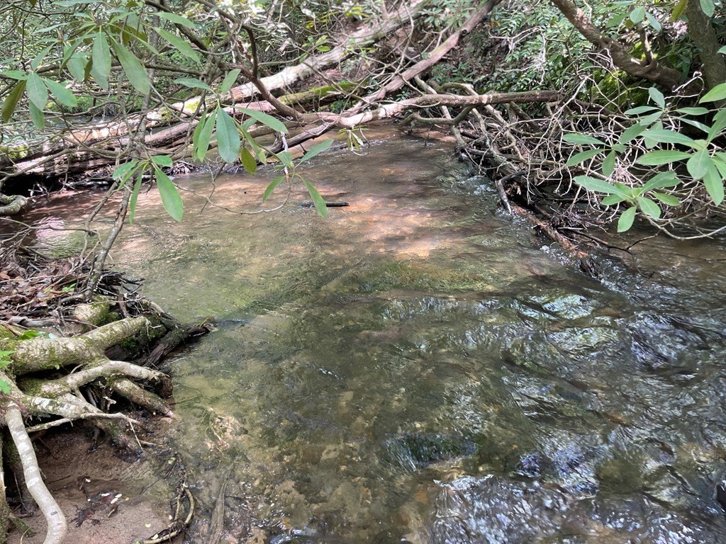 Picture 23