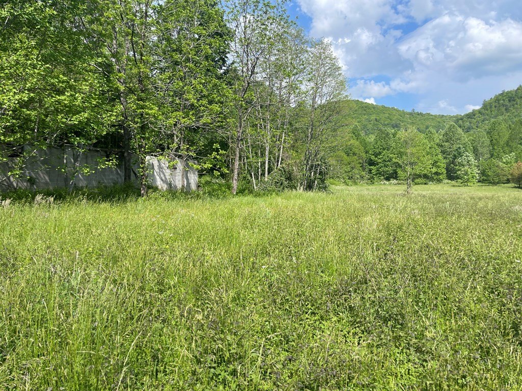Picture 28