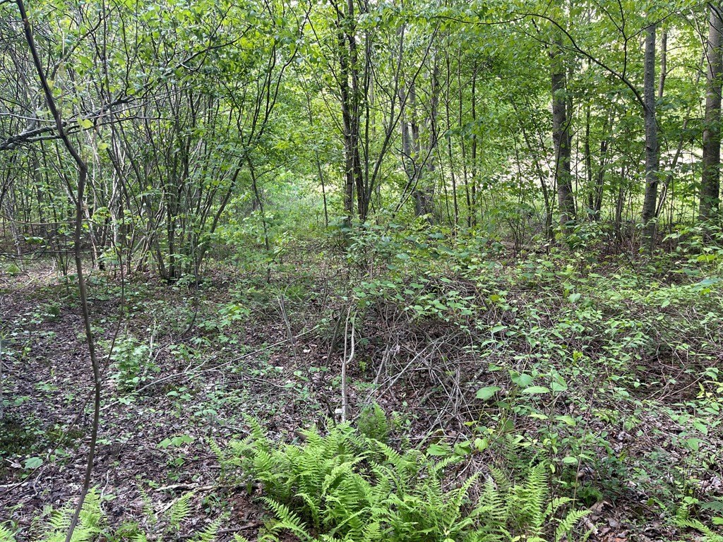 Picture 21