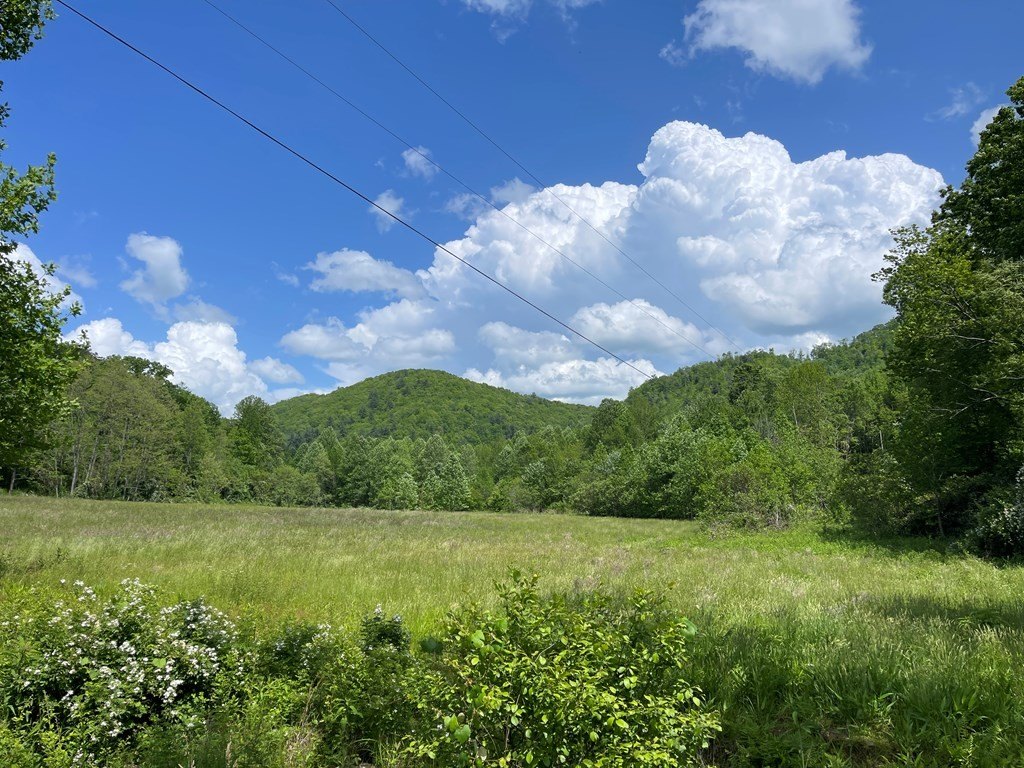 Picture 24