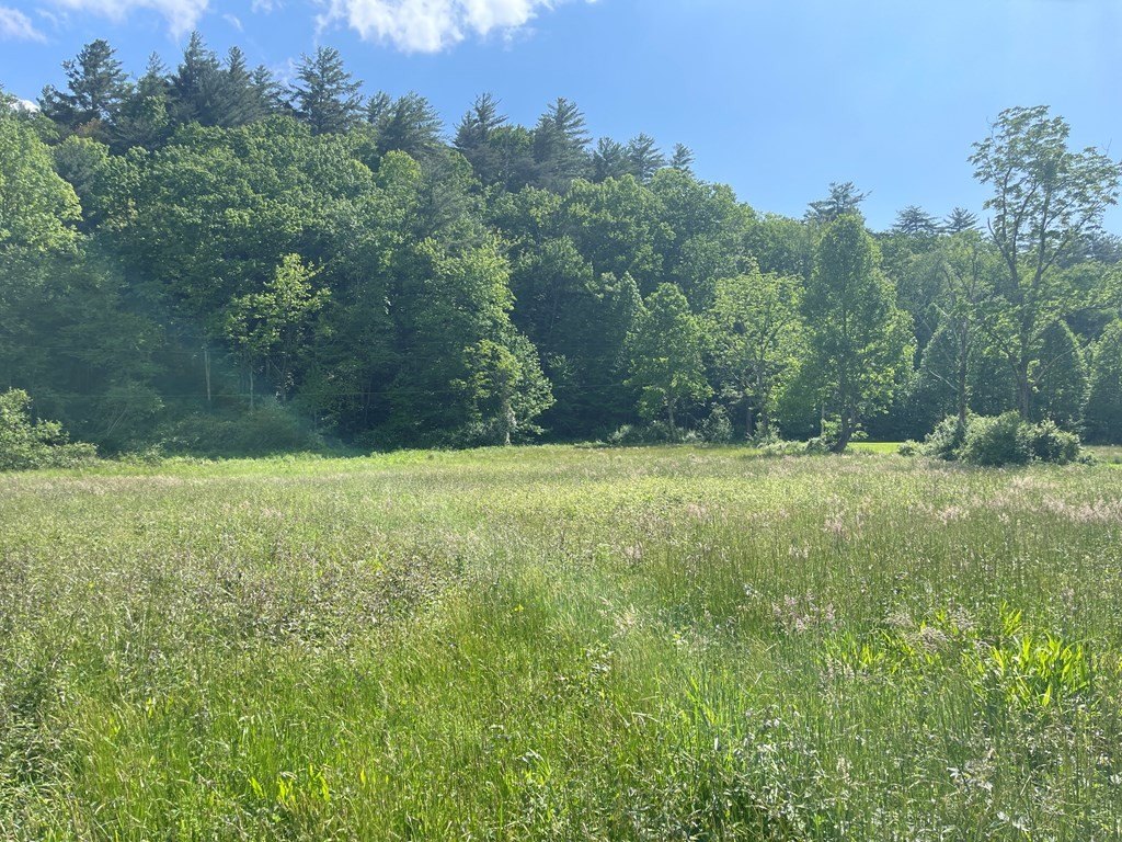 Picture 26