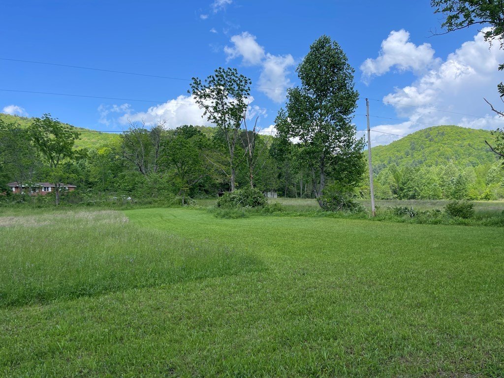Picture 20