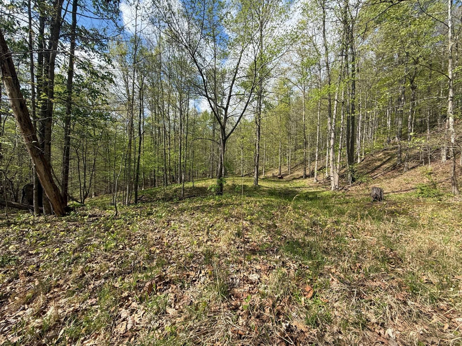 Gassaway Vacant Land For Sale