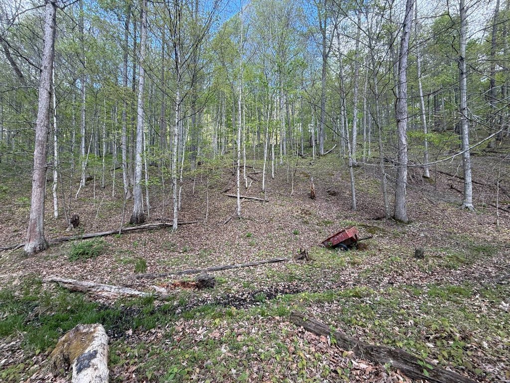 Picture 6