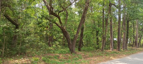 LAND - Summerville, SC