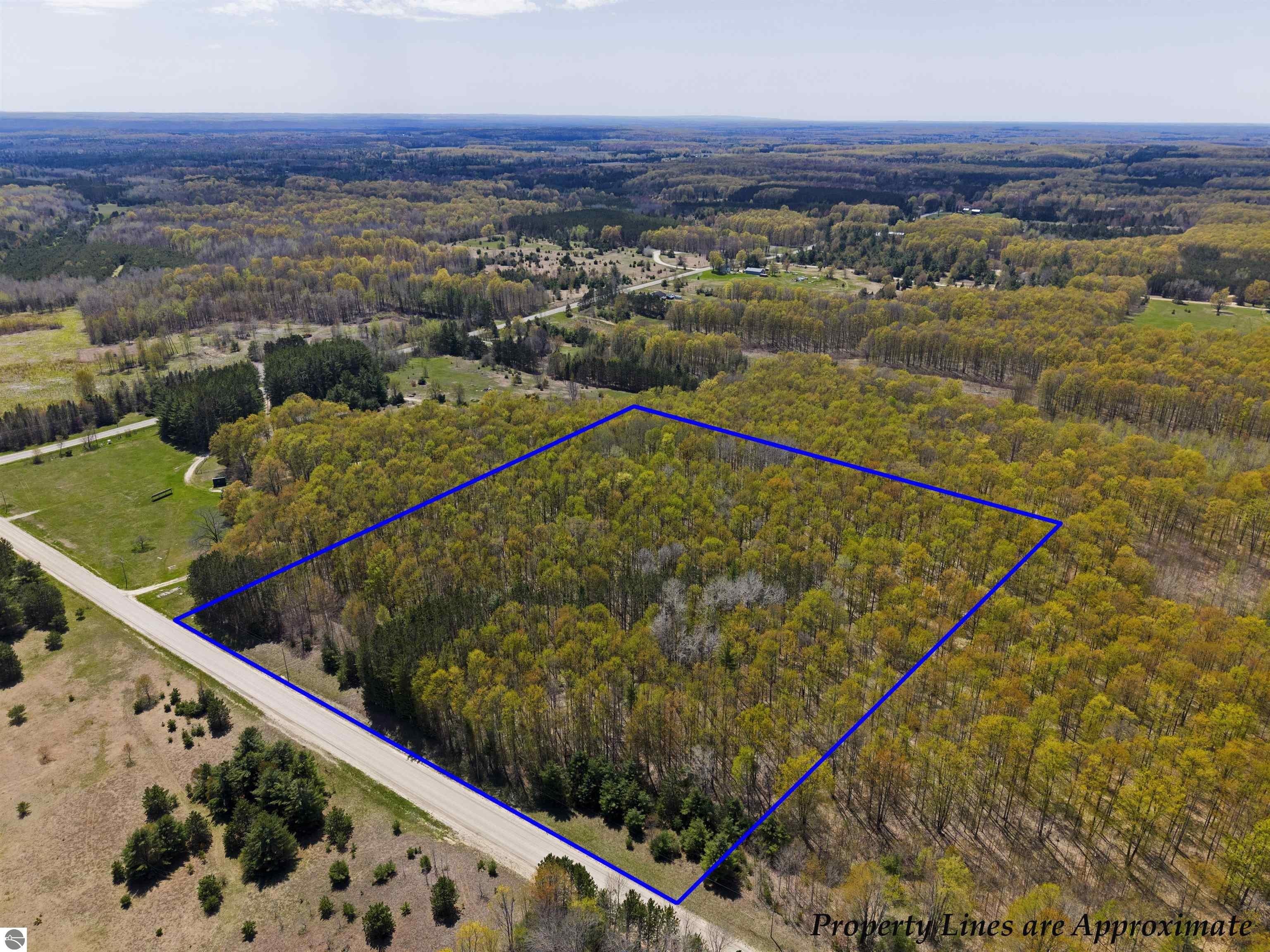 Beautiful Wooded Acreage in Fife Lake