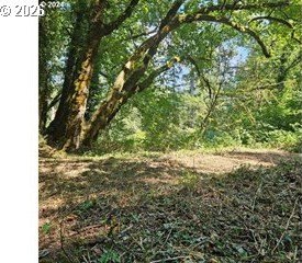 Picture 19