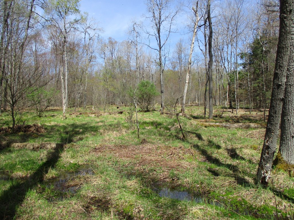 Picture 11