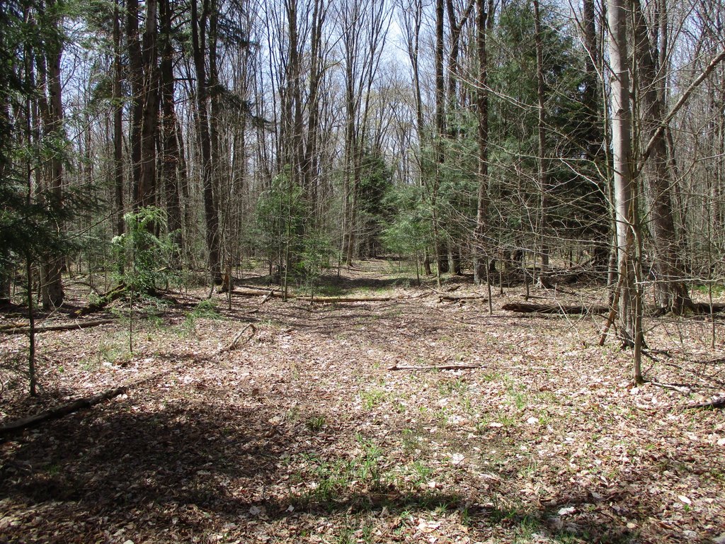 Picture 3