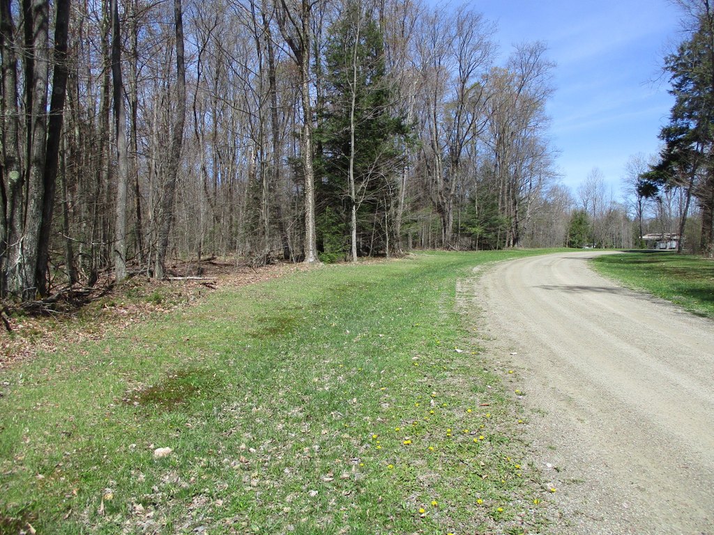 Picture 2