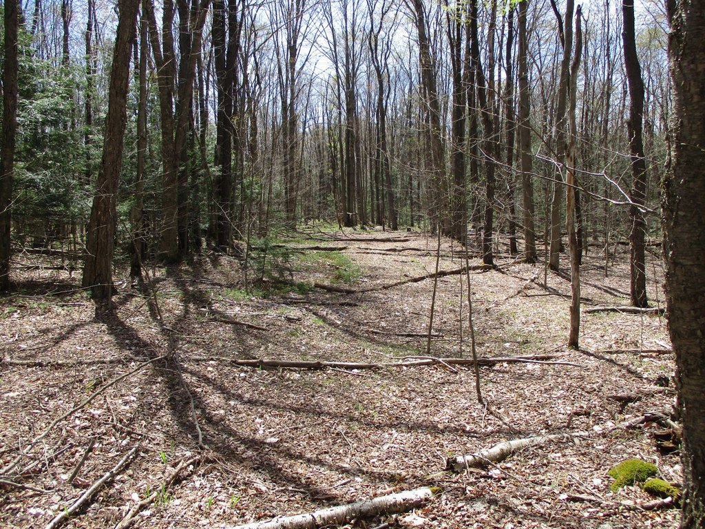 Picture 7