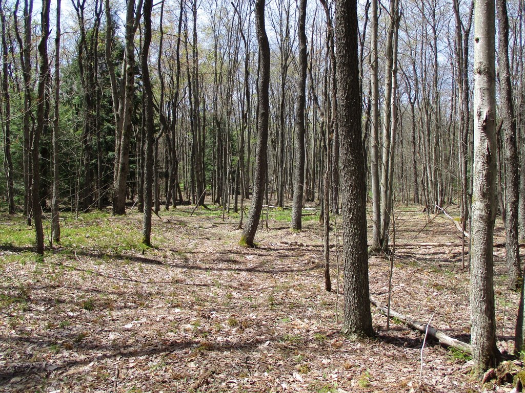 Picture 9