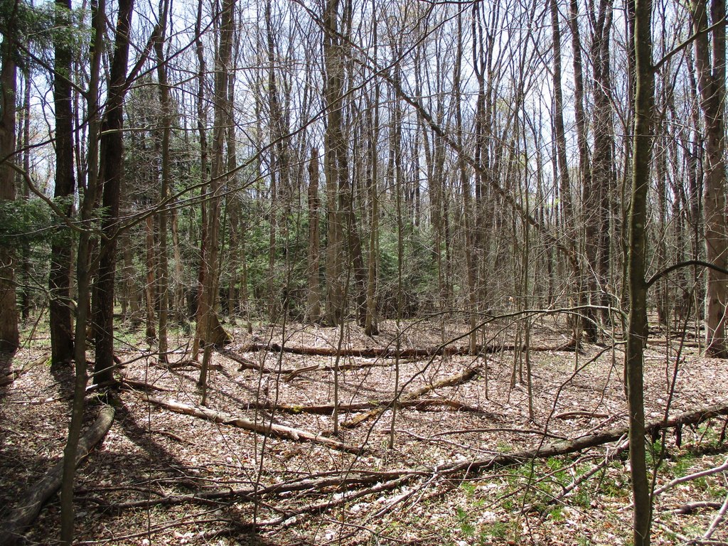 Picture 5