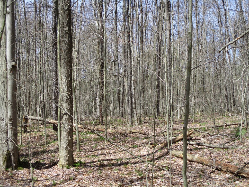 Picture 6