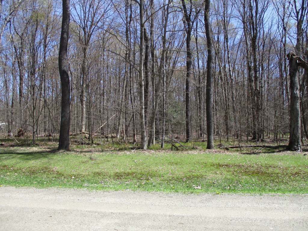 Picture 16