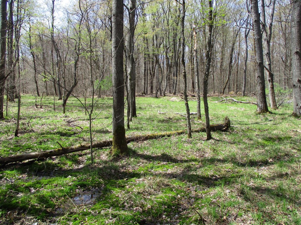 Picture 10