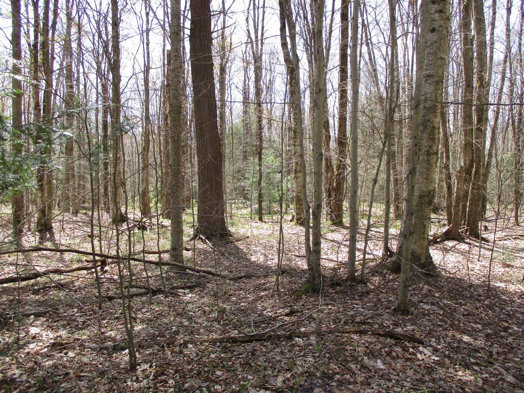 Picture 4