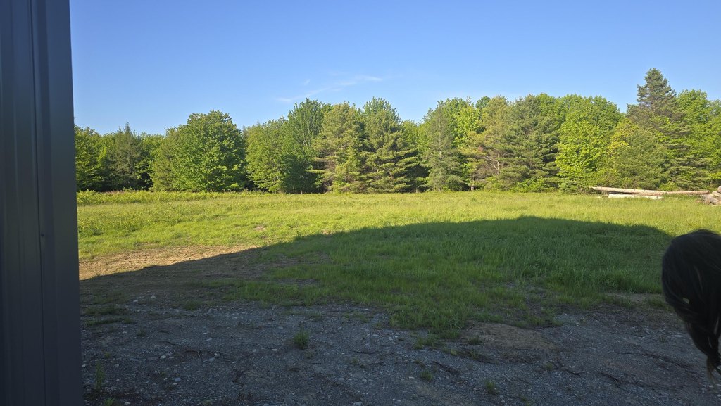 Picture 5