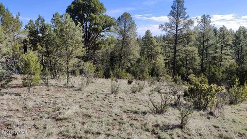 LAND - Overgaard, AZ