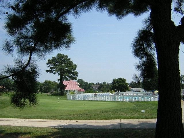 Picture 7