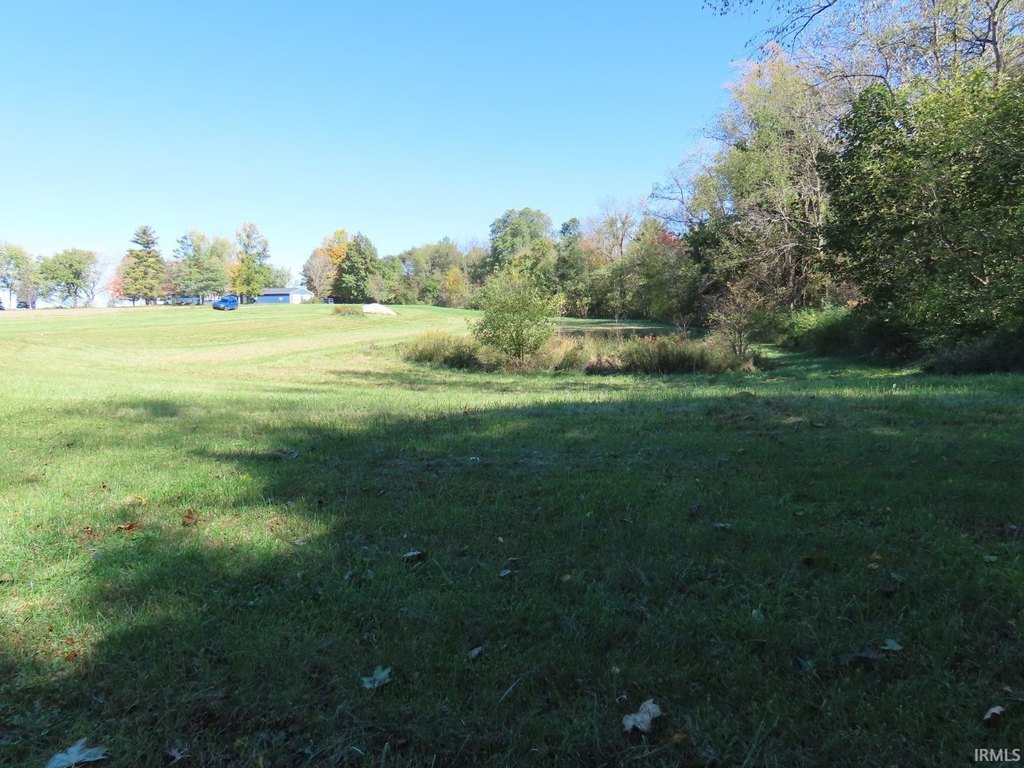 Picture 3