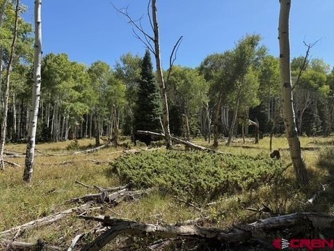 Cimarron, CO