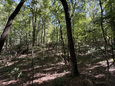 Vacant Lot, Ellijay, GA