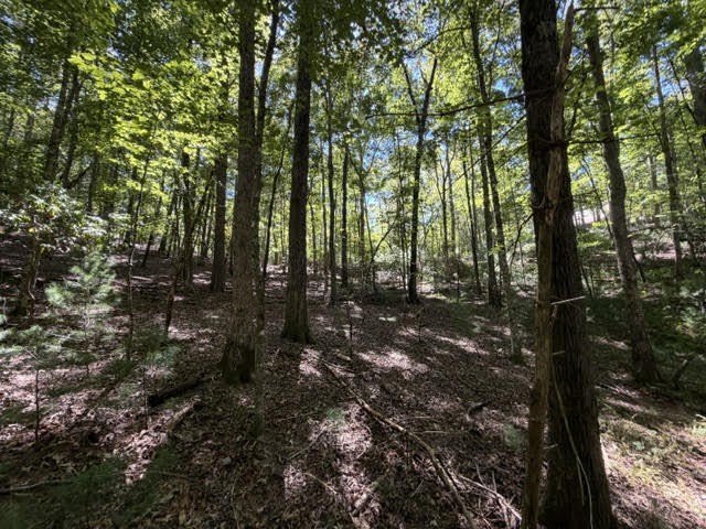 Picture 4