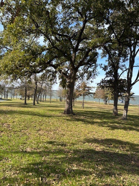 Picture 18