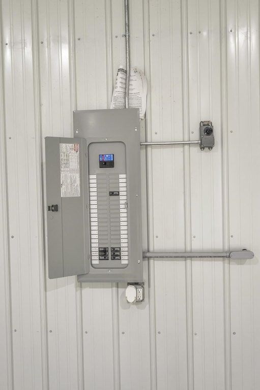 Picture 11