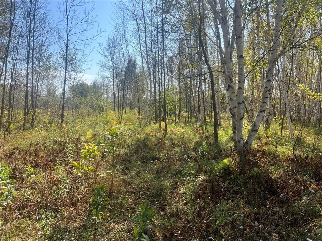 Picture 17