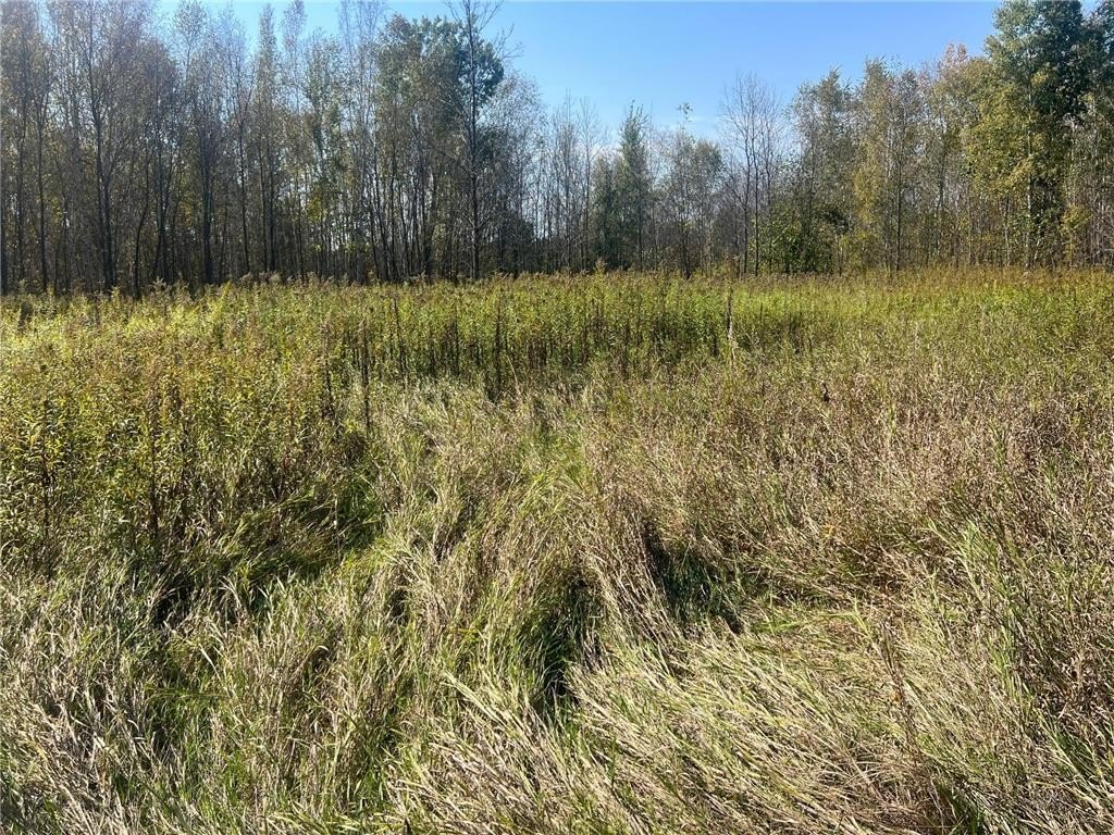 Picture 25