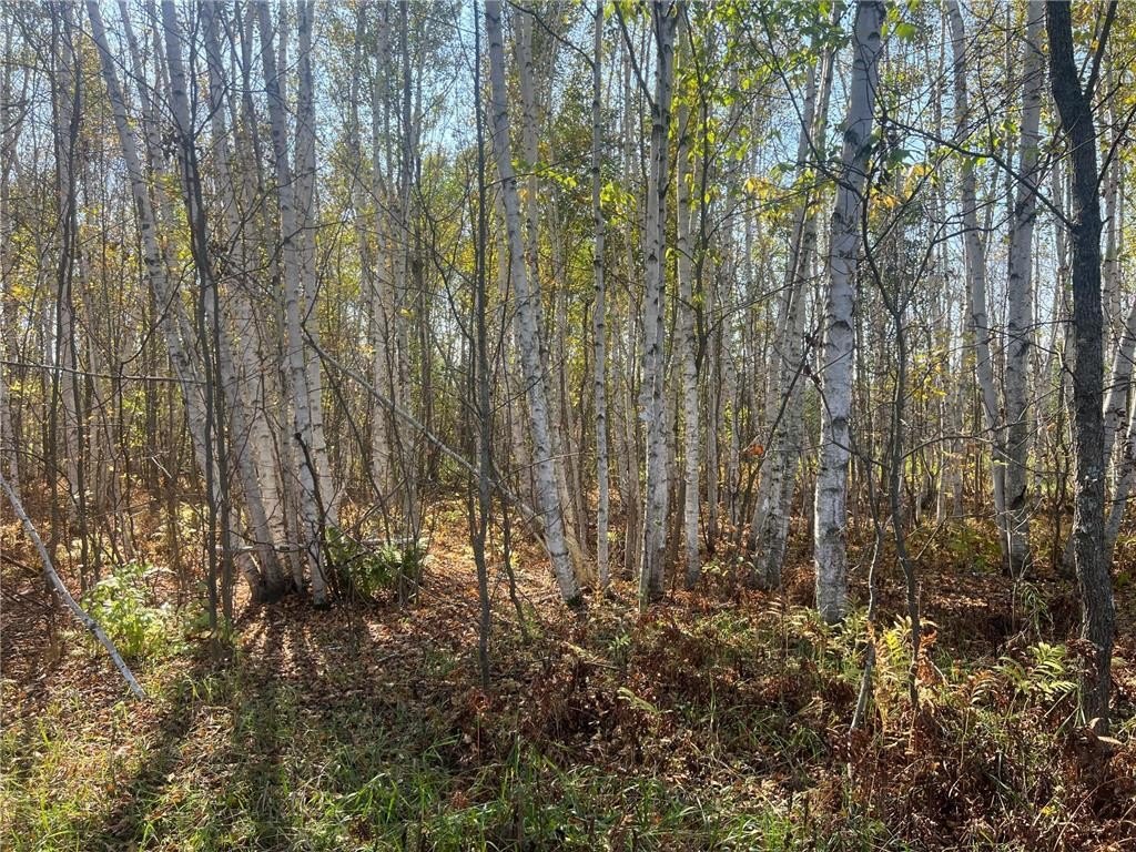 Picture 8