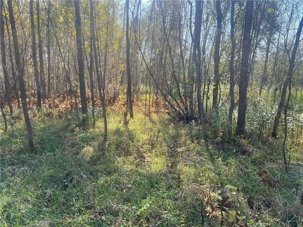 Picture 13