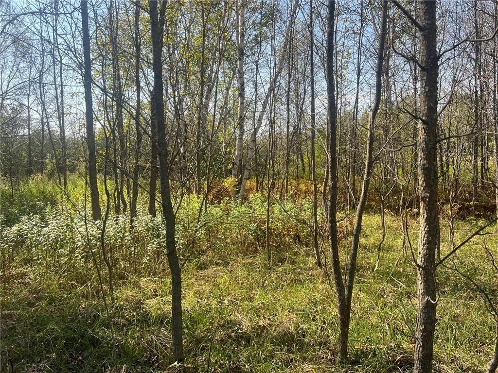 Picture 12