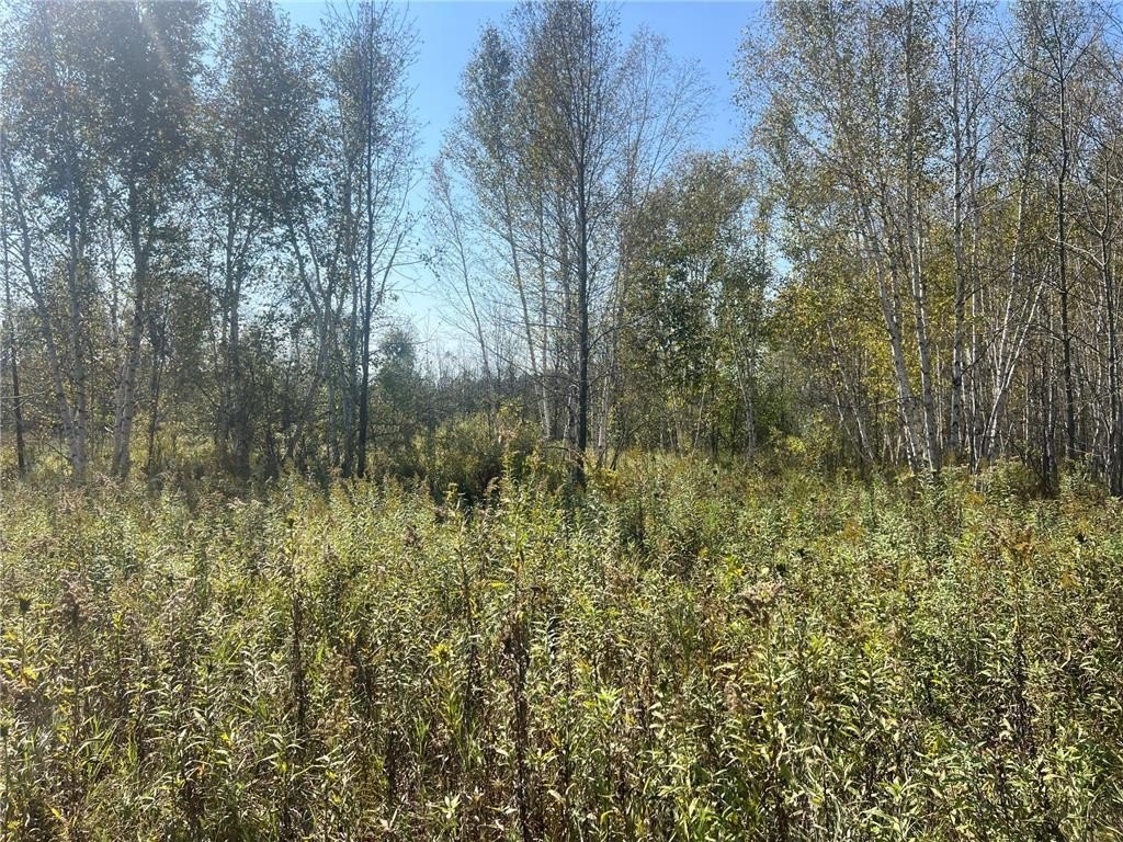 Picture 19