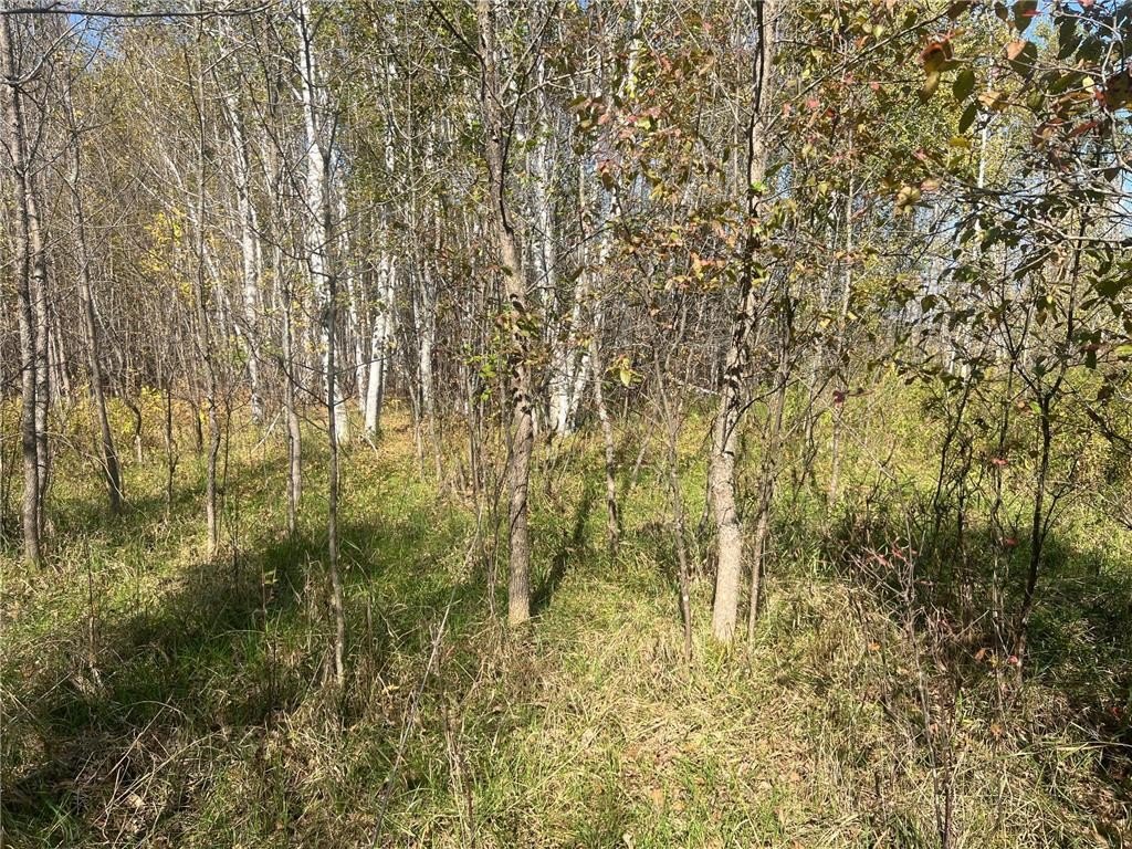 Picture 14