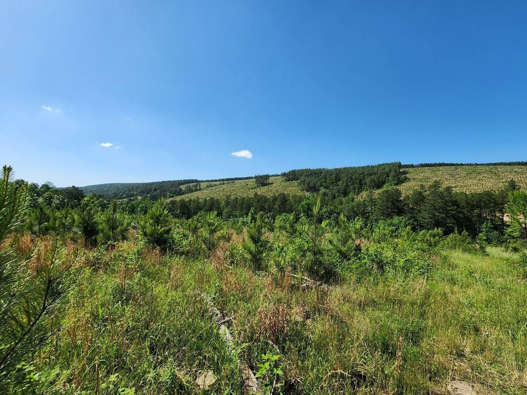 Picture 4