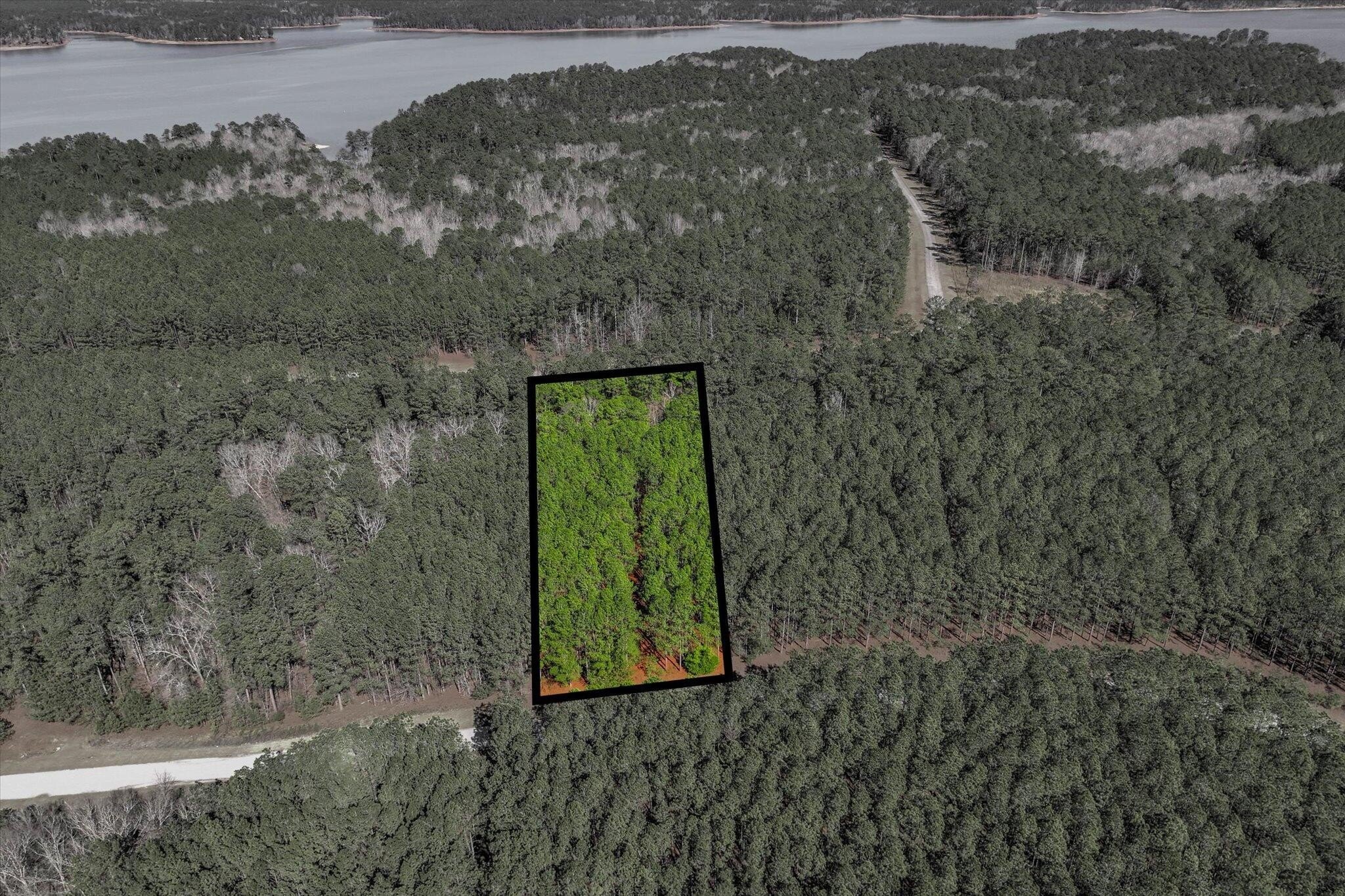 Land Near Lake in Tignall