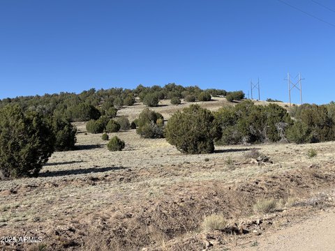 Seligman Land Near I-40