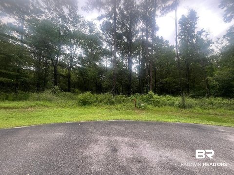 LAND - Foley, AL