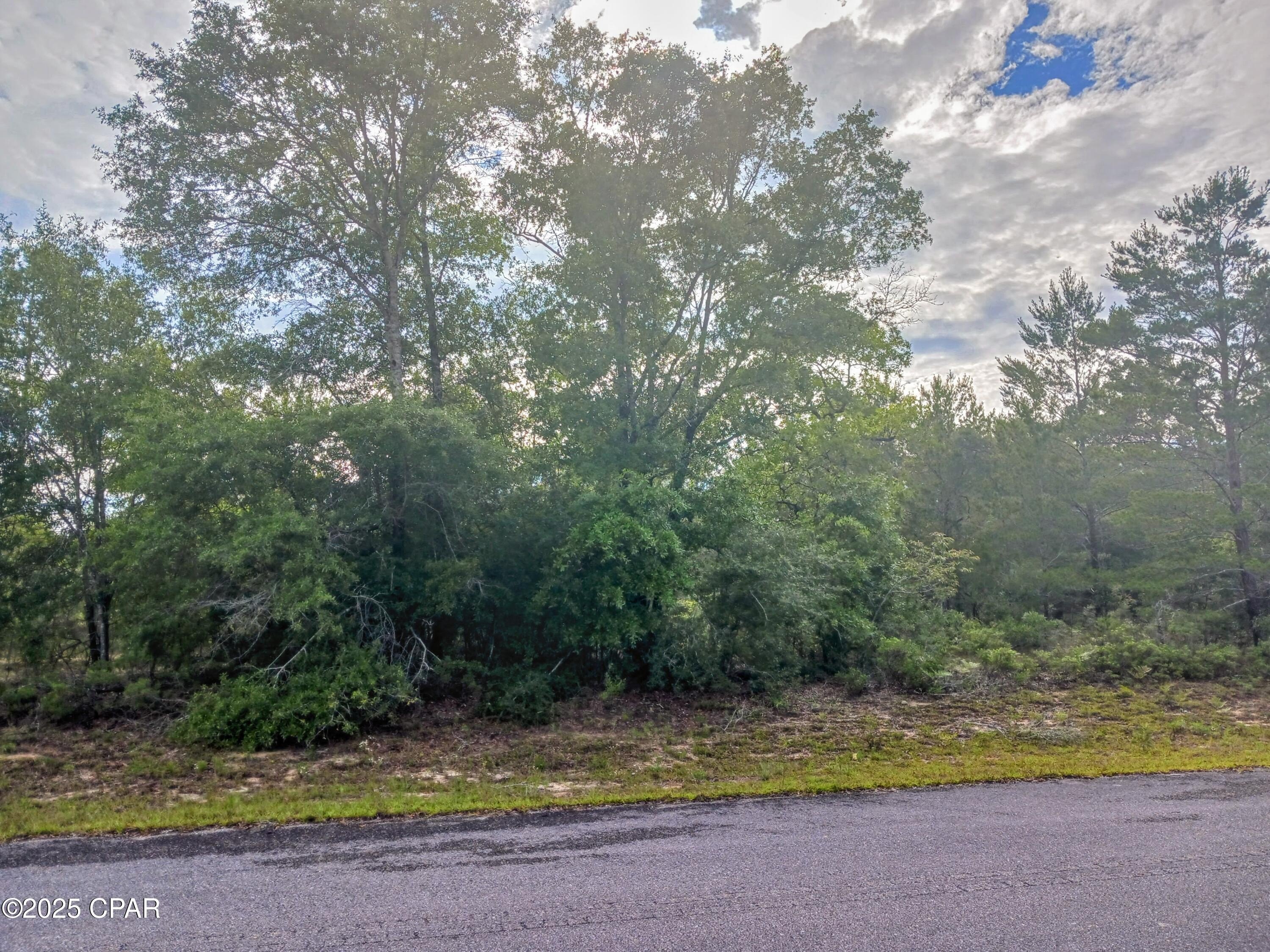 Vacant Lot in Sunny Hills