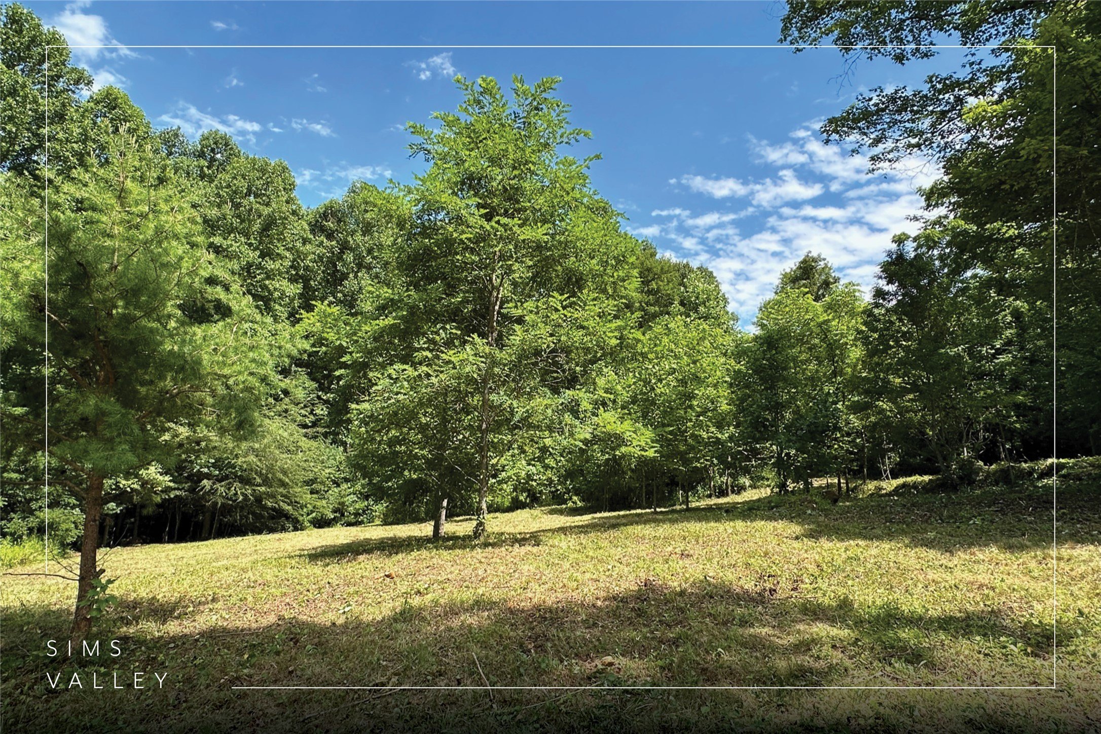 Glenville Land with Stream Frontage