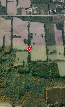 Farmland with Road Frontage