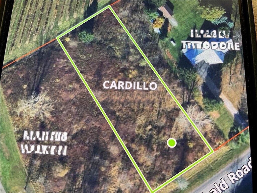 Land Near Lake Ontario