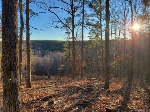 Leslie, AR Acreage with Views
